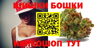 гидра Ижевск