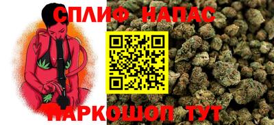 гидра Ижевск