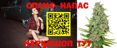 мдпв Ивантеевка