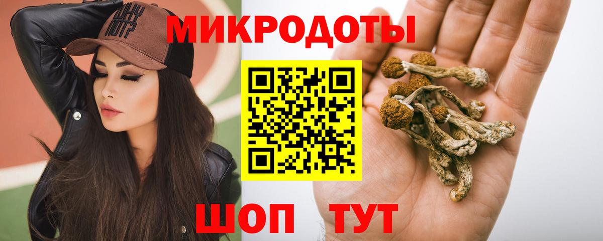Галлюциногенные грибы Magic Shrooms  Галлюциногенные грибы Psilocybe  Вход с VPN  Лесной 